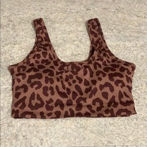 Kingdom collection king cheetah dusk Ascend top